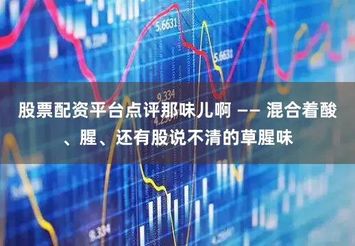 股票配资平台点评那味儿啊 —— 混合着酸、腥、还有股说不清的草腥味