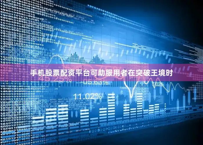 手机股票配资平台可助服用者在突破王境时