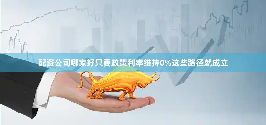 配资公司哪家好只要政策利率维持0%这些路径就成立