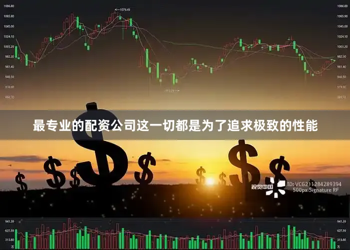 最专业的配资公司这一切都是为了追求极致的性能